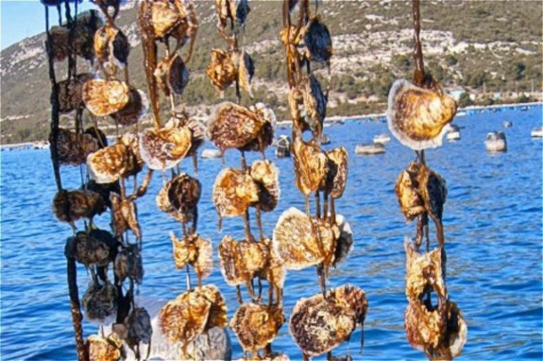 Dubrovnik Travel Guide